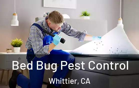  Bed Bug Pest Control Whittier, CA