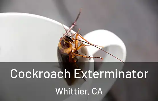  Cockroach Exterminator Whittier, CA