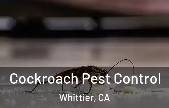 Cockroach Pest Control Whittier, CA