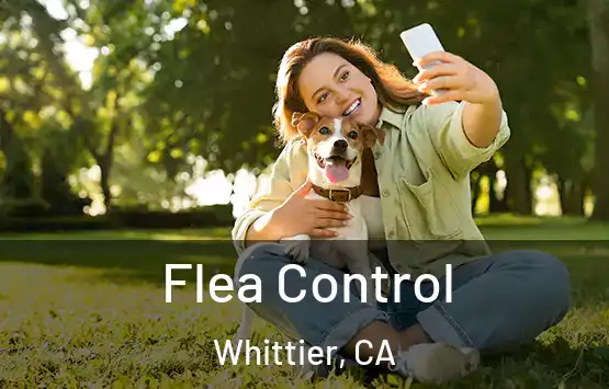  Flea Control Whittier, CA