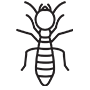 Termites Pest Control Whittier, California