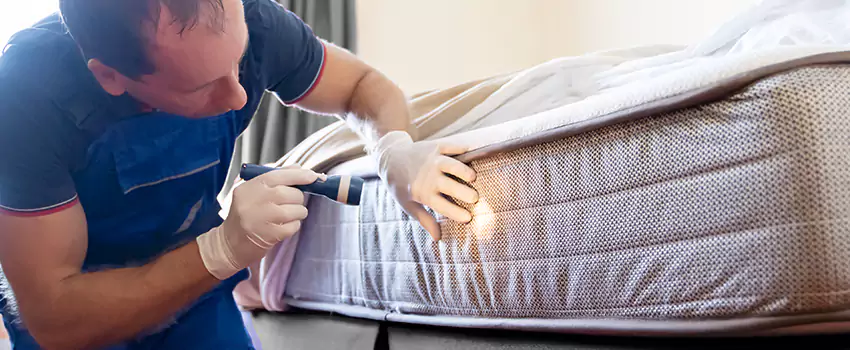 bed-bug-exterminator in Whittier, CA