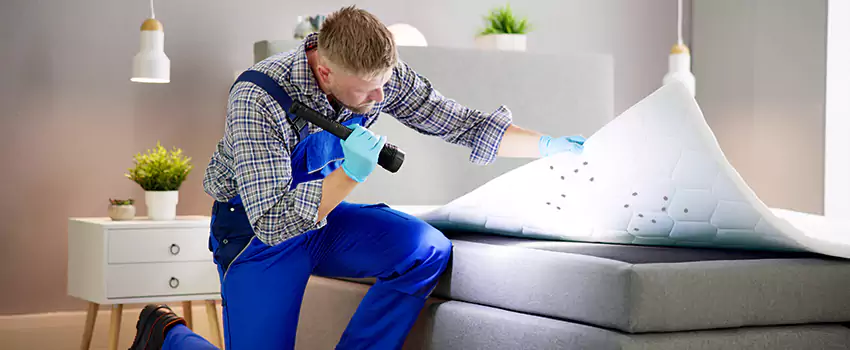bed-bug-treatment in Whittier, CA
