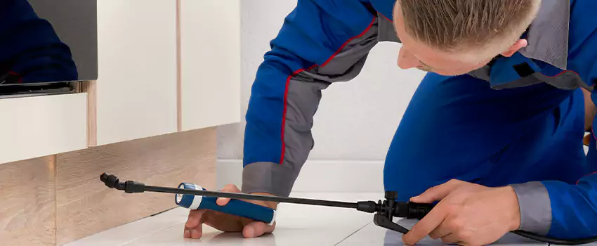 Ant Control for Bedrooms in Whittier, CA