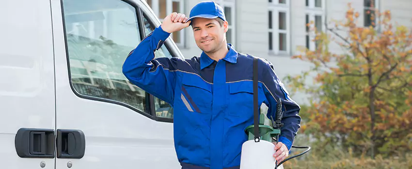 Organic and Chemical Spider Control Options Whittier, CA