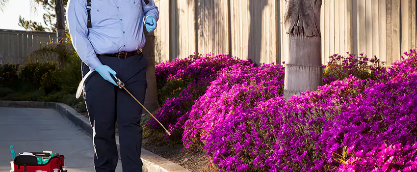grub-treatment in Whittier, CA
