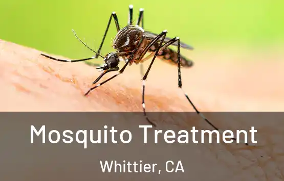  Mosquito Treatment Whittier, CA