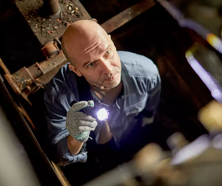 About Pest Inspection Whittier