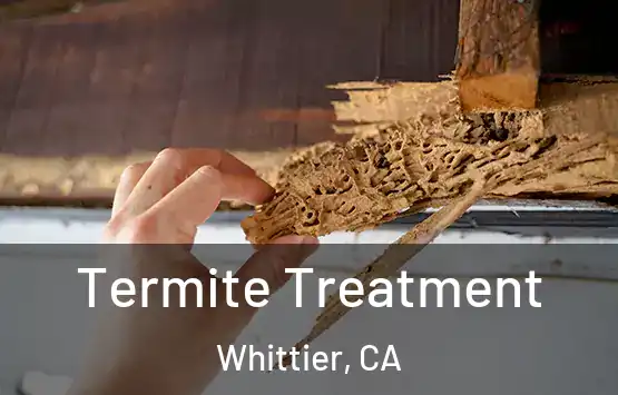  Termite Treatment Whittier, CA