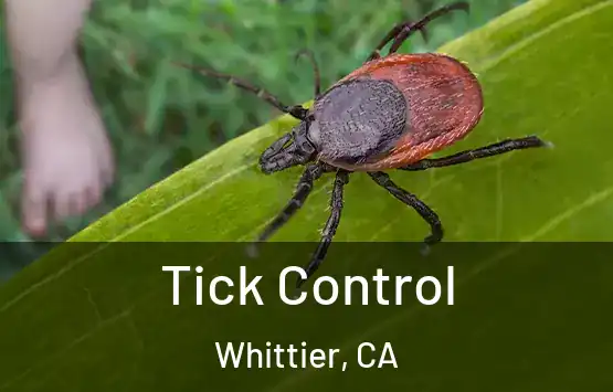  Tick Control Whittier, CA